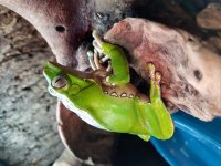 20170510_162356.jpg