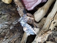 20170510_162504.jpg