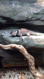 IMG_20170723_122554830.jpg