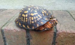 20170917_110458.jpg