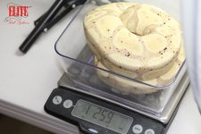 15BananaF1scale-1250g.jpg