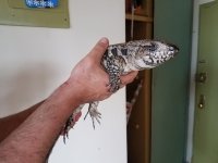 20170512_164015.jpg