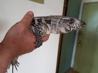 20170512_163951.jpg