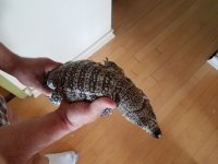 20170512_164026.jpg