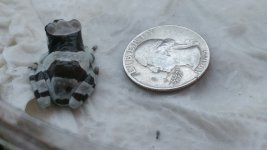 IMG_20171010_200446.jpg