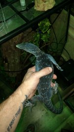 IMG_20170524_214332741.jpg