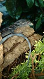 IMG_20170524_214352715.jpg