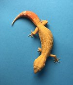 Albino Blood 6-21 53g 1052f.jpg