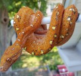 20170804_122334.jpg