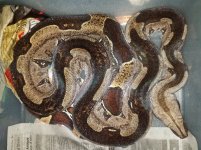 20170424_013501.jpg