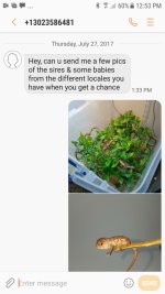 Screenshot_20170801-125313[1].jpg