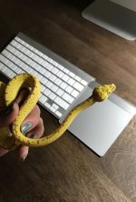 FullSizeRender.jpg