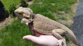 20170510_130842.jpg