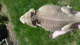 20170510_130818.jpg