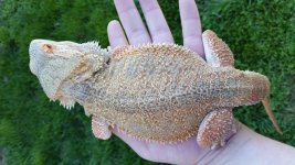 20170418_104246.jpg