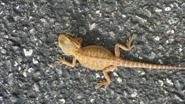 20170408_170354.jpg