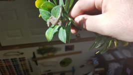 20170814_151635.jpg
