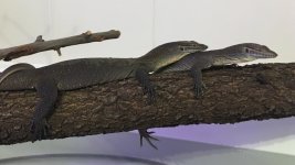IMG_5132.jpg