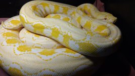 IMG_20170525_112730046.jpg