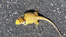 20170418_103946.jpg