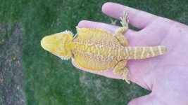 20170412_172244.jpg