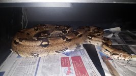 20161028_010032.jpg