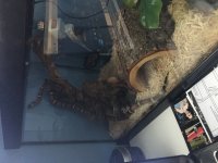 IMG_4818[2].jpg