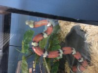 IMG_4824[1].jpg