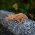 IMG_20170919_114919_171.jpg