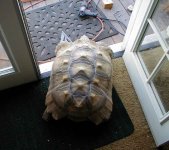 IMG_1625.JPG
