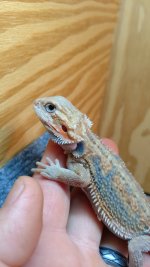 IMG_20170919_100548530.jpg