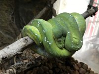 IMG_0937.jpg