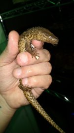 IMG_20170907_221435684.jpg