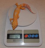 DSCN5411.jpg