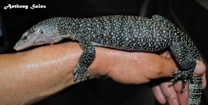 DSC_3862~2.JPG