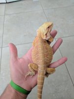 IMG_20170411_175447.jpg