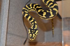 DSC_5848.jpg