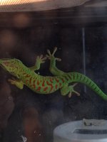 IMG_1613.jpg