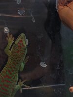IMG_1614.jpg