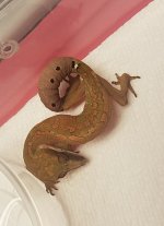 20170624_090946.jpg