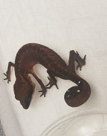 20170624_090534.jpg