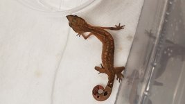20170624_180951.jpg