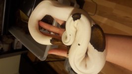 20170208_173126.jpg