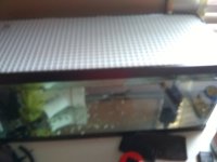 IMG_20171001_121629200.jpg