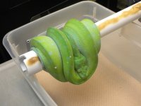 downloadfile-48.jpg
