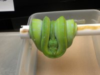 downloadfile-42.jpg