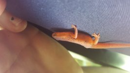 20170824_140421.jpg