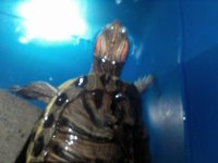 IMG_20170827_213153.jpg