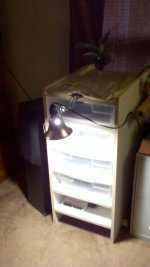 2010-11-24_12-45-11_670.jpg