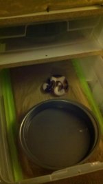 2010-11-27_21-00-37_880.jpg